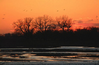 All material copyrighted by Nature's Lens and The Hermitage, Inc.