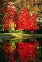 All material copyrighted by Nature's Lens and The Hermitage, Inc.