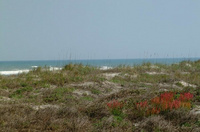 Little Talbot Island, FL