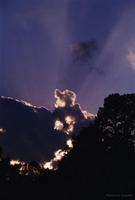 All material copyrighted by Nature's Lens and The Hermitage, Inc.